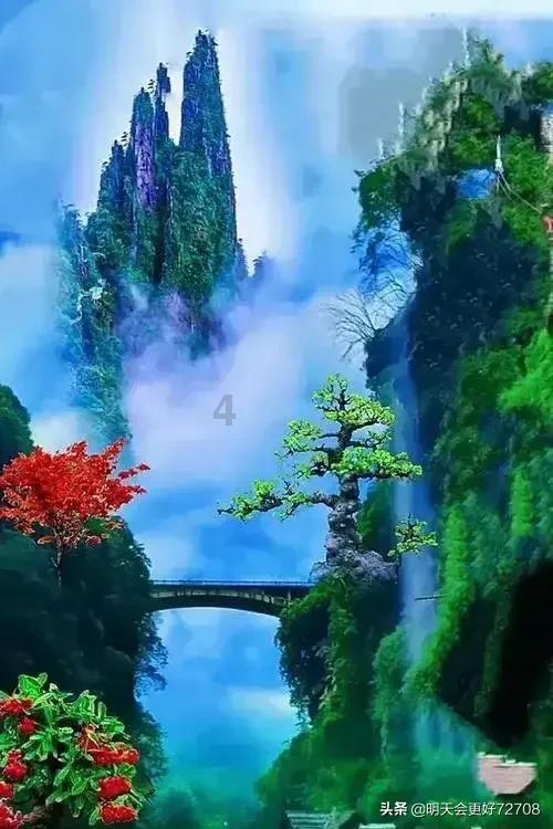 小猫钓鱼正版下载中文版