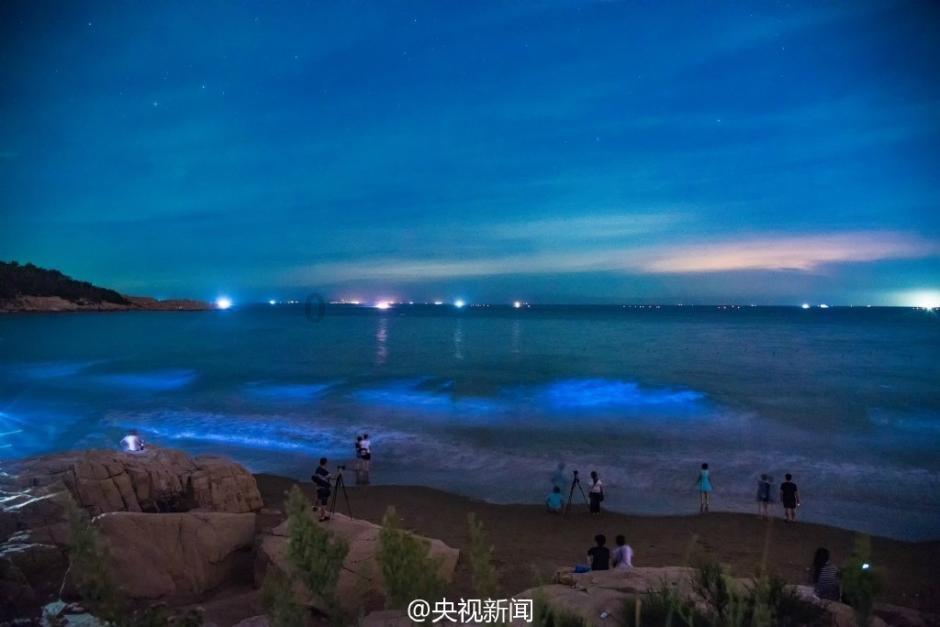 嘉日单词