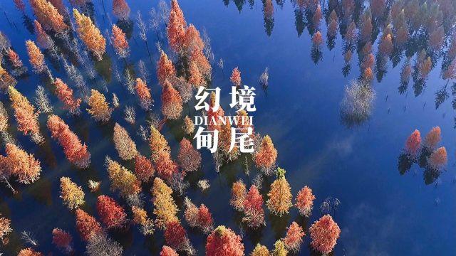 直播电商，点亮乡村振兴路