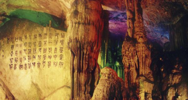 虫虫助手下载