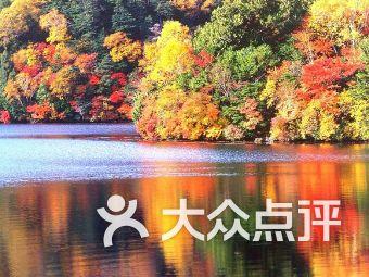 召唤神龙万宁版祖龙