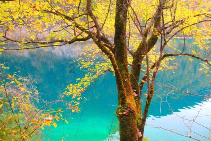 山珍年味“醉”乡愁,湖北通山首届年货节开幕