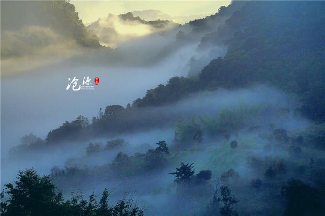 高质量发展陕西行|延安:加快构建支撑有力全域开放体系