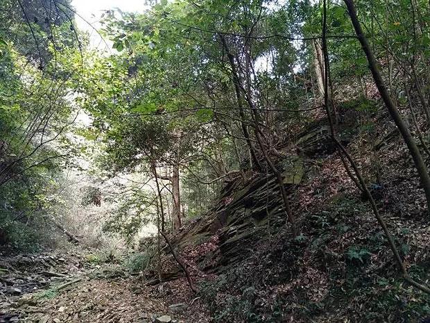 山西通报:5名干部被处分!