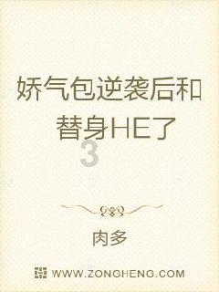战斗机的反击