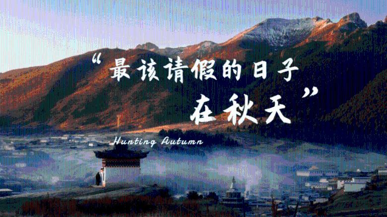 承认董事长被留置,国晟科技股价跌停