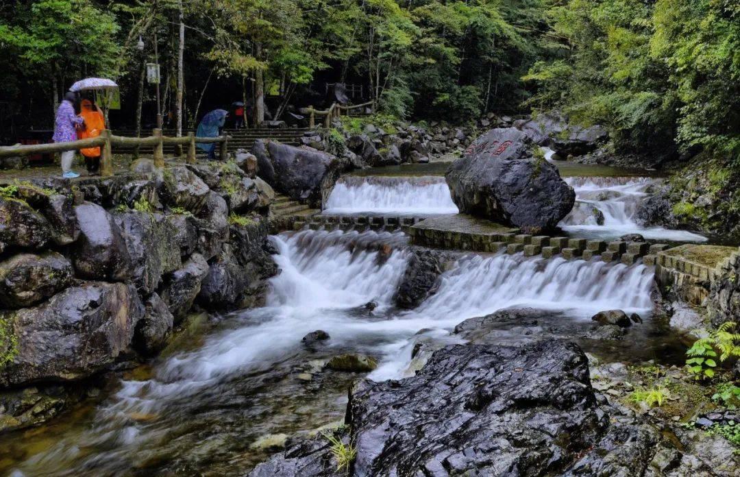 张居正扳倒高拱:一场教科书级别的权力斗争