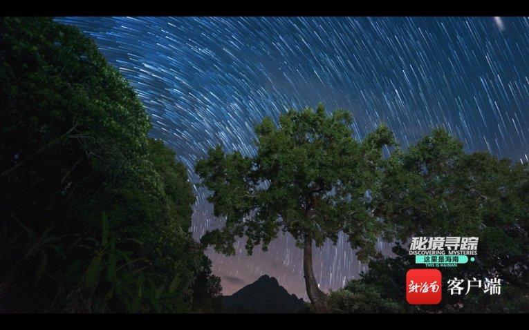 全民烧脑3去广告版