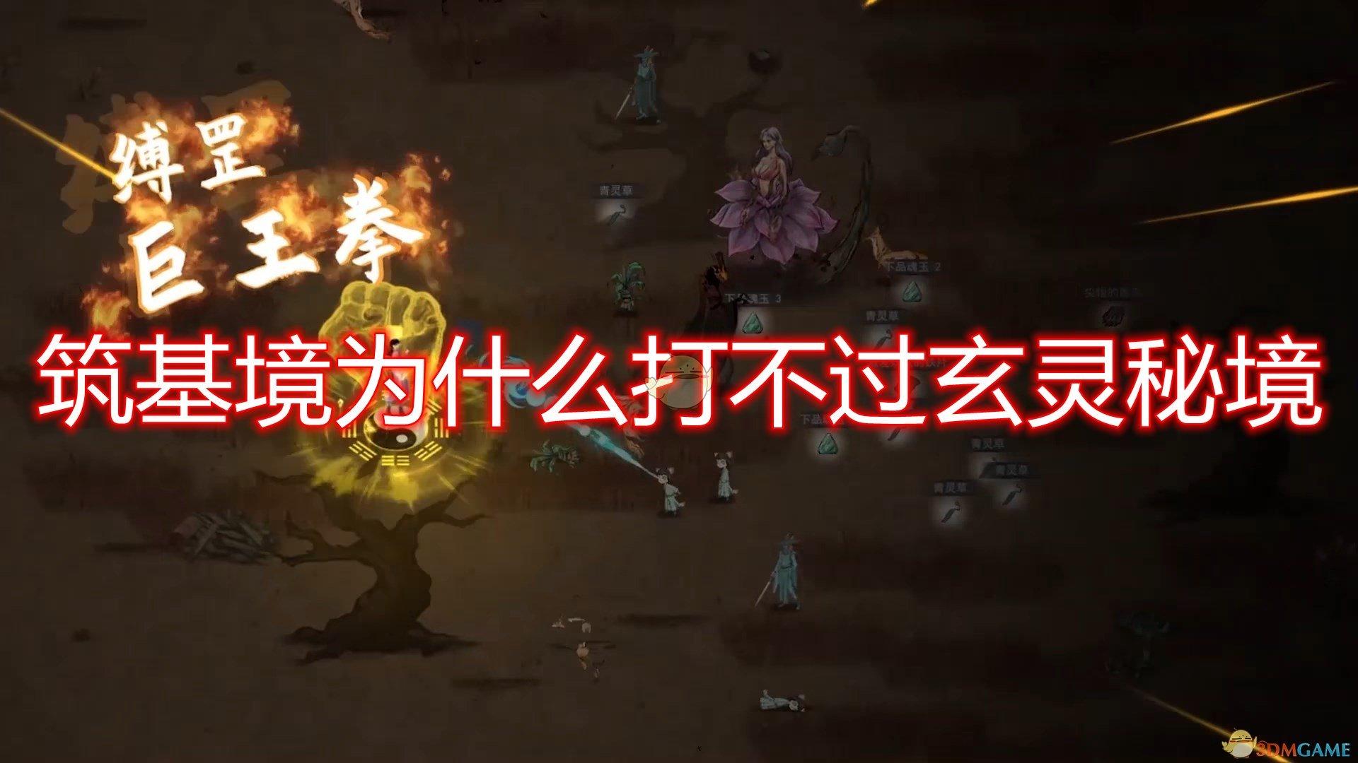 88影视