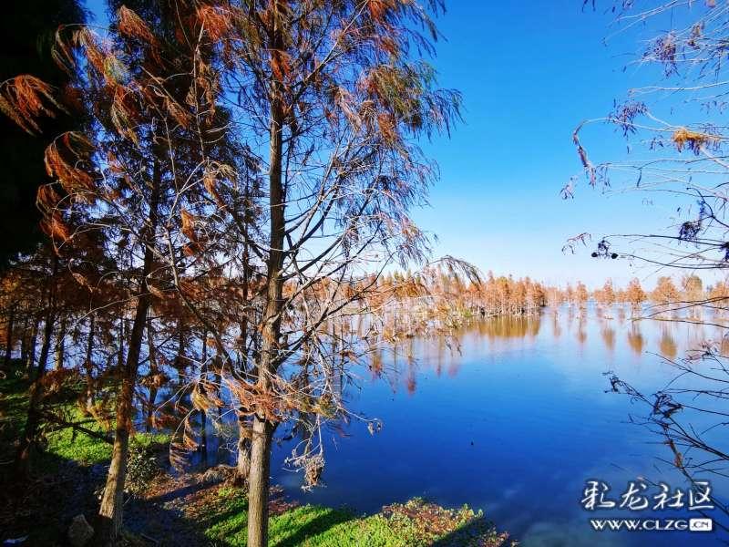 “线上+线下”齐发力 龙年春节消费购销两旺、逐渐升温