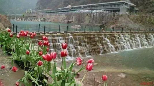 何为朝贡与互市?从中悟出明朝政治智慧与世界文明的碰撞