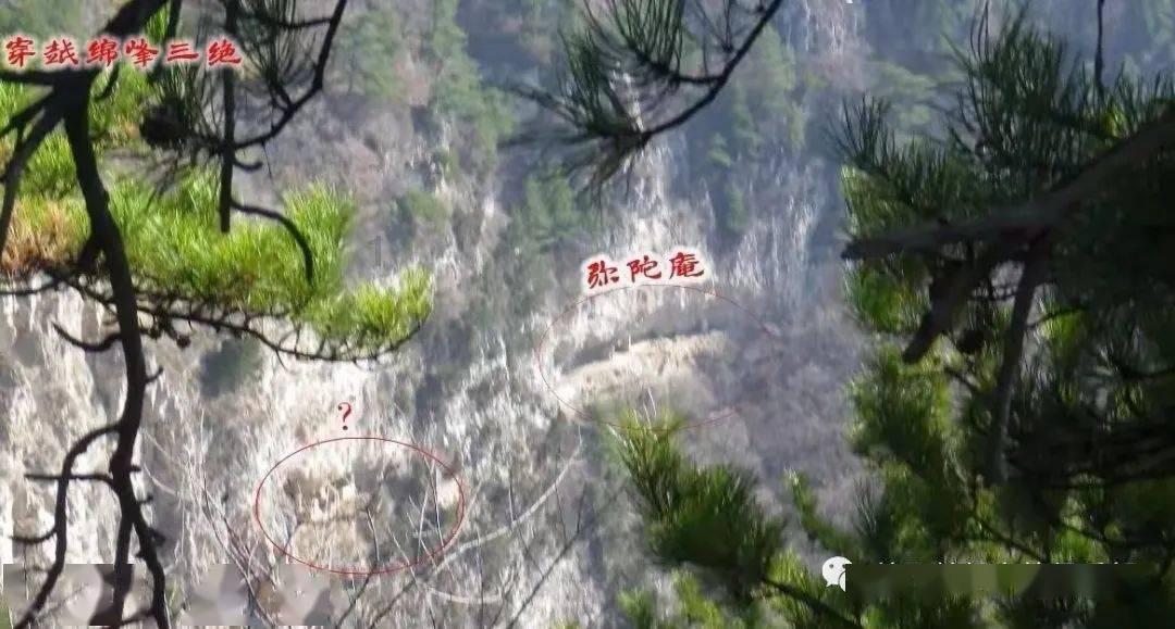 强力震慑!楚雄一地警方押解多名犯罪嫌疑人集中公开辨认现场