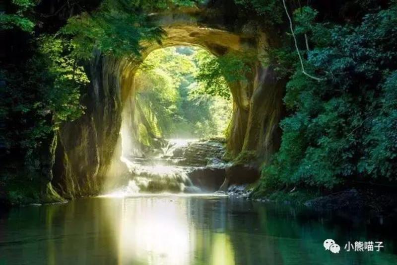 虫虫助手下载
