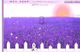 迎接2024年首场雾凇!南岳衡山景区工作人员冒雨提前做好安防工作