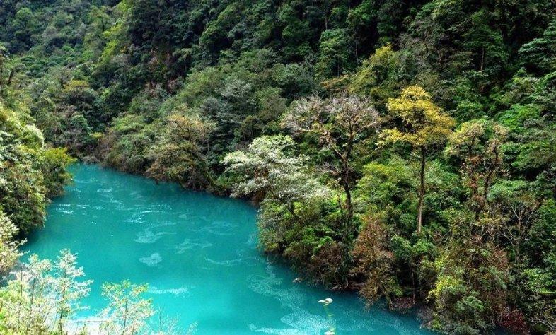 燃烧吧大脑免广告最新版