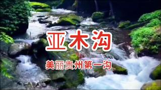 燃烧吧大脑装瓶子游戏