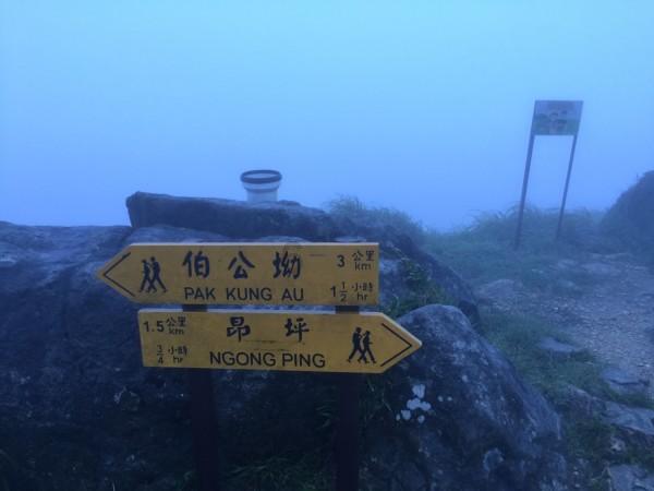 探案推理的电视剧有哪些推荐？