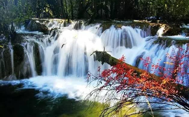 沪江开心词场
