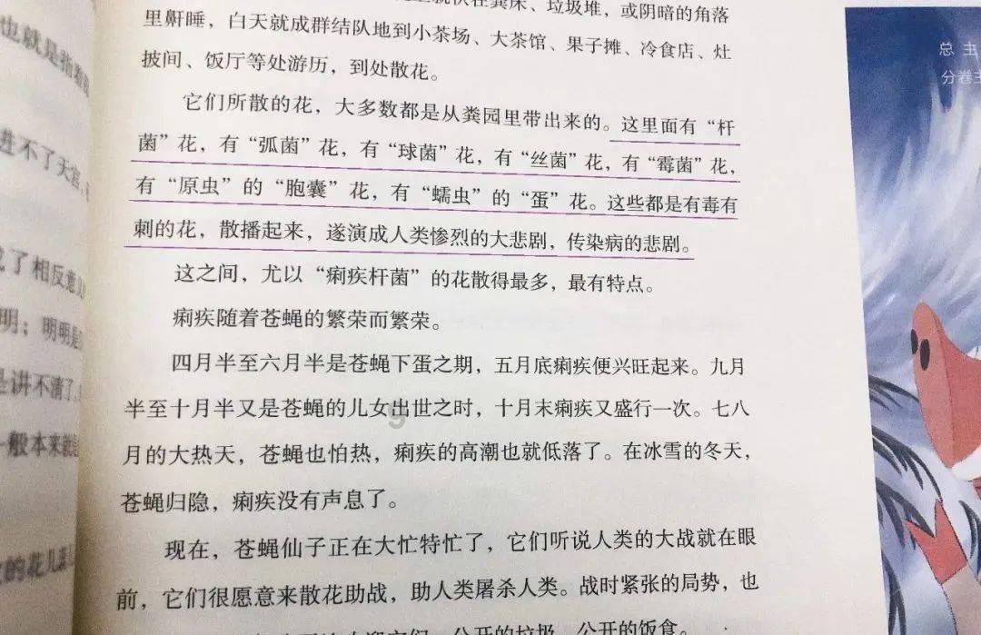 小猫钓鱼正版下载中文版