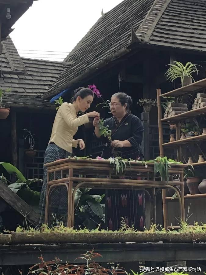 逗小猴开心系列203