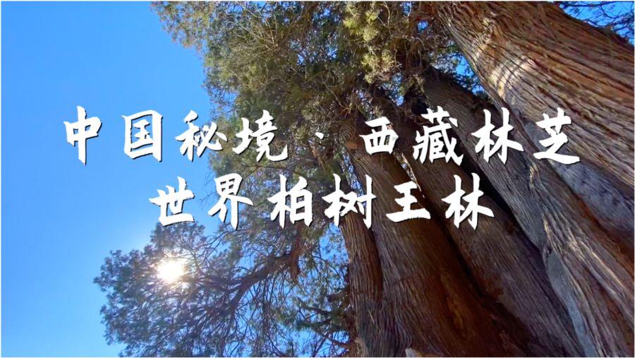 生化危机3