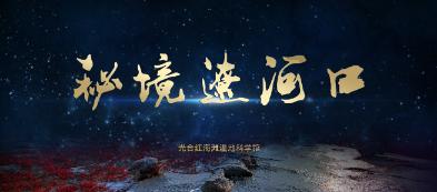 虫虫助手下载