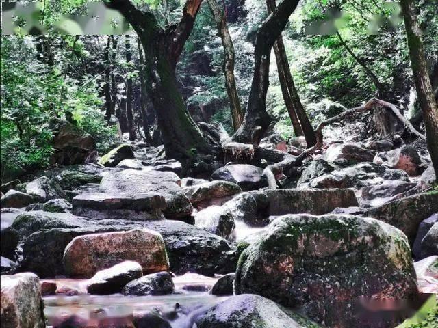 万词王