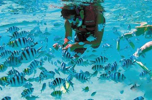 食材由教授团队选育研发，浙大这碗充满“科研味”的粥是啥味道？