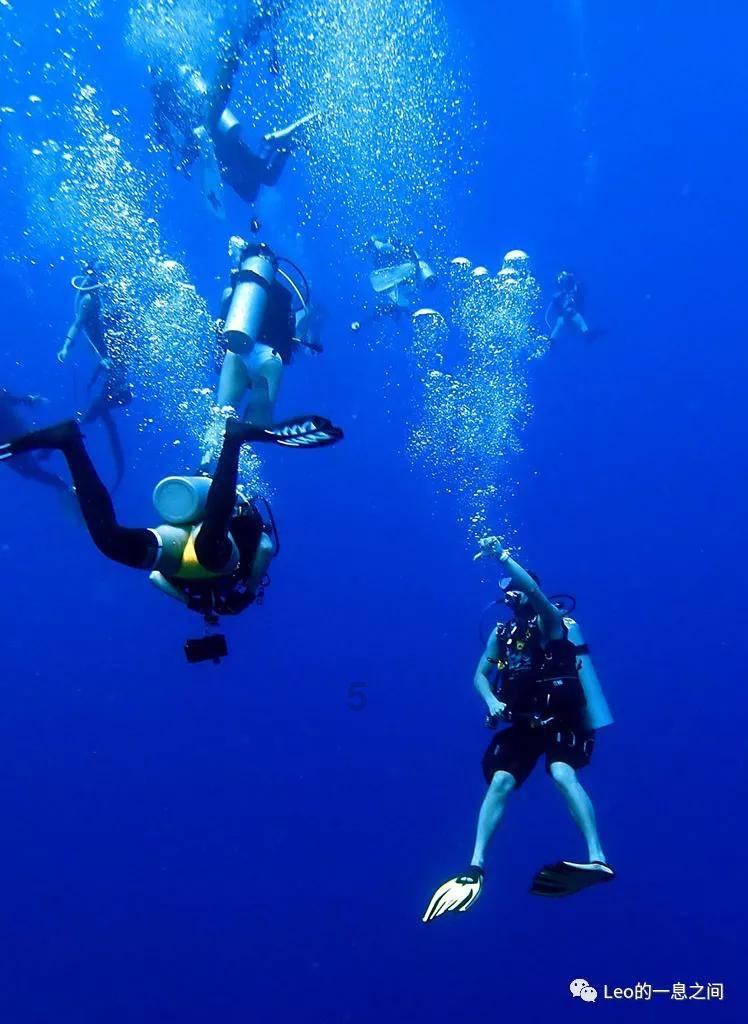周栩可《浪淘沙·谷山 》:诗画间的超脱与相聚