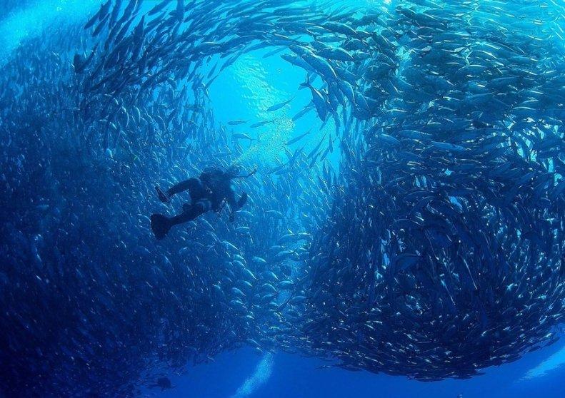 沪江开心词场