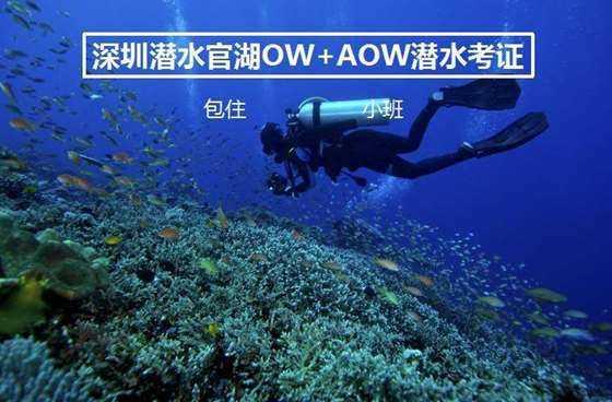 次元喵