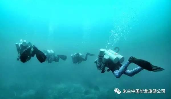 虫虫助手下载