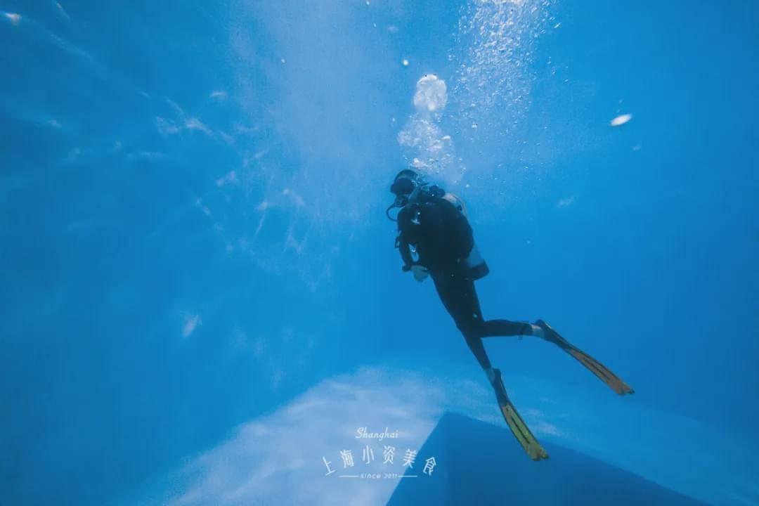 虫虫助手下载