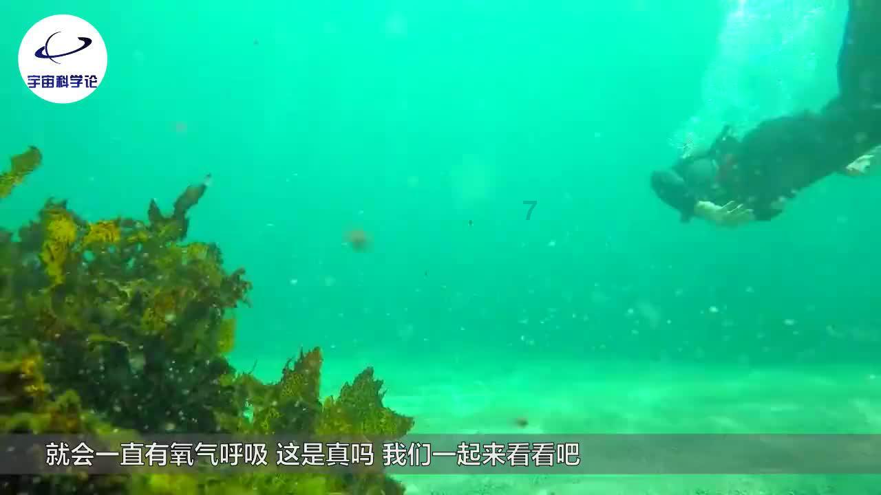 战场女武神4