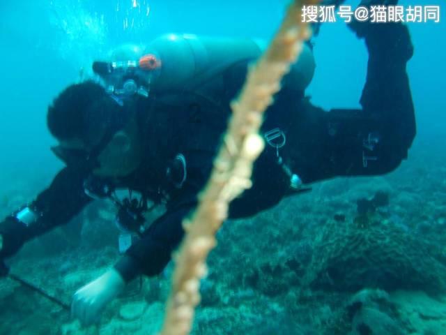 球球大作战下载最新版