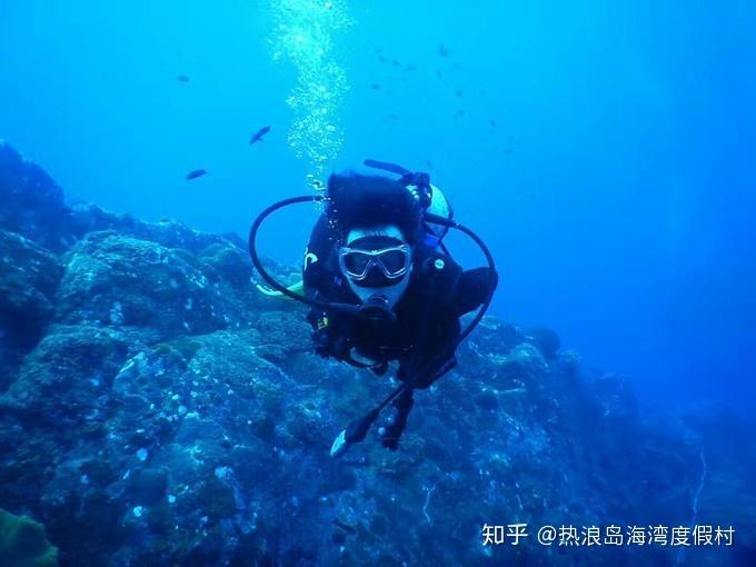 爆红半年后,她不慎自毁前程,网友怒喊:打回原形!