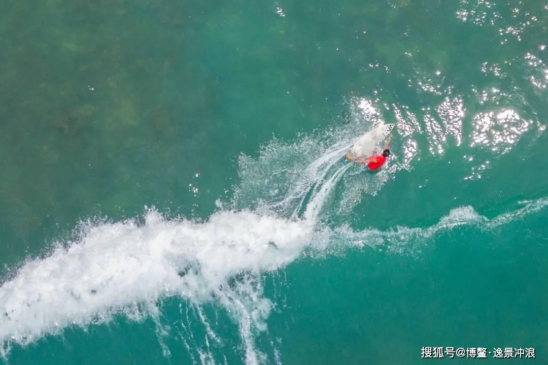 动物帮帮忙保卫家园