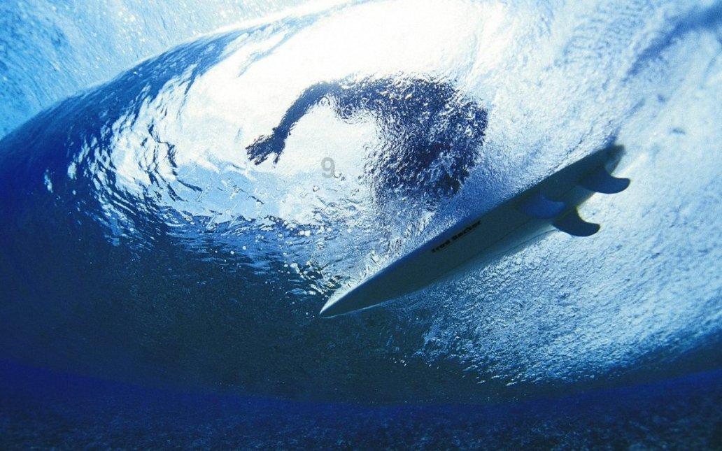 “顶流明星”要回国了!粉丝依依不舍:这一天还是来了……