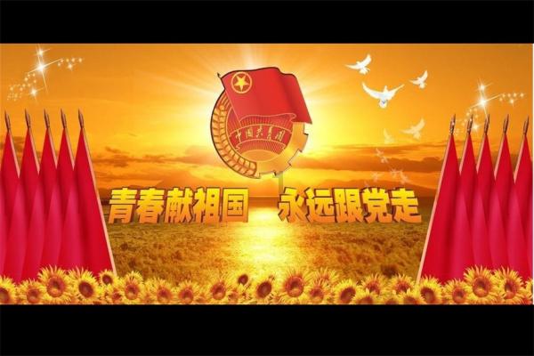 小猫钓鱼正版下载中文版