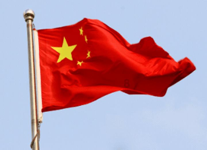 拉布拉多看着犯傻的哈士奇,一脸绝望的表示:“这日子没法过了”