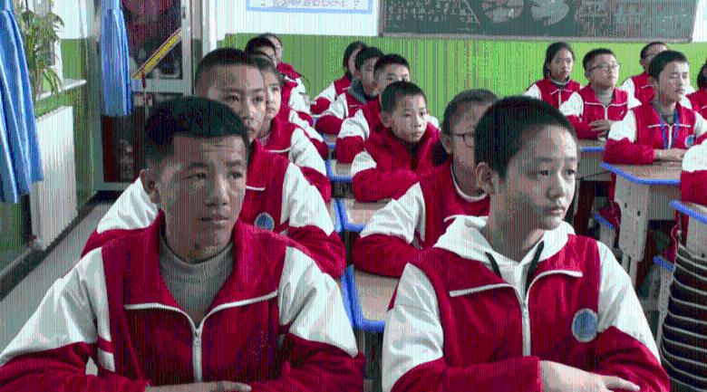 小猫钓鱼正版下载中文版