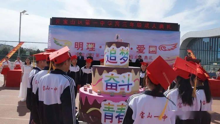 可爱小猫向上跳