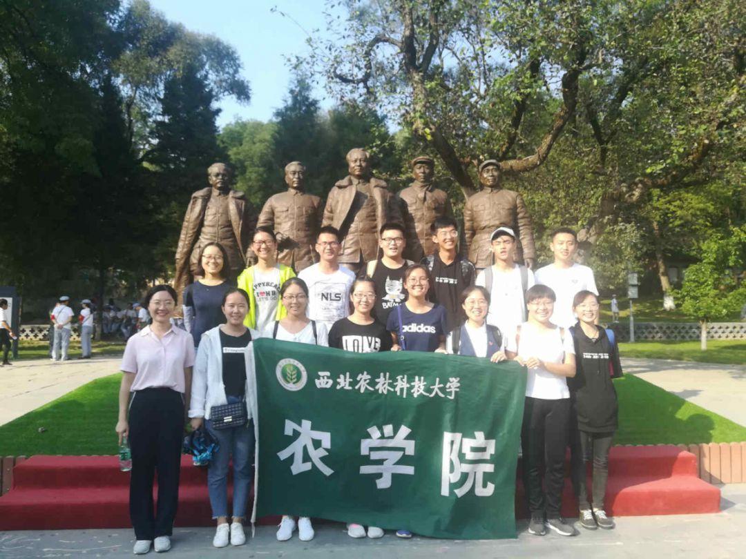 民生银行济南自贸区支行：“三步”举措有温度 适老服务赢赞誉