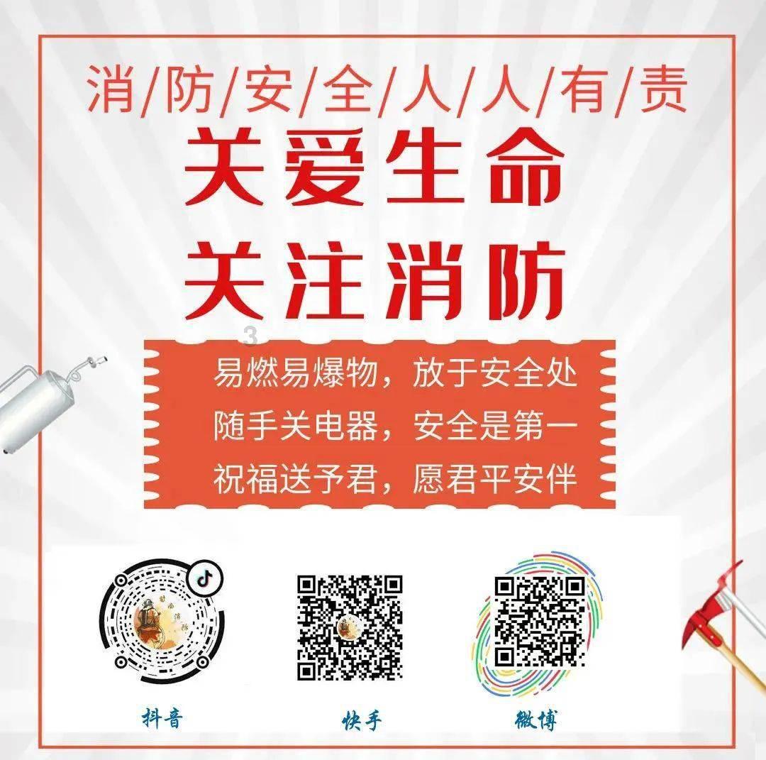 吃金币的猫
