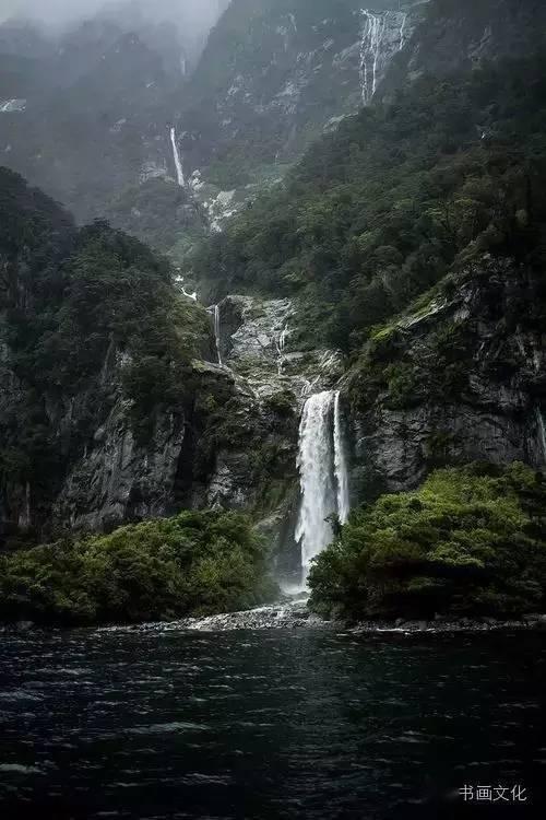蜂王救援