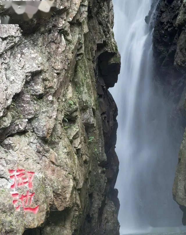 美丽的铅笔裙