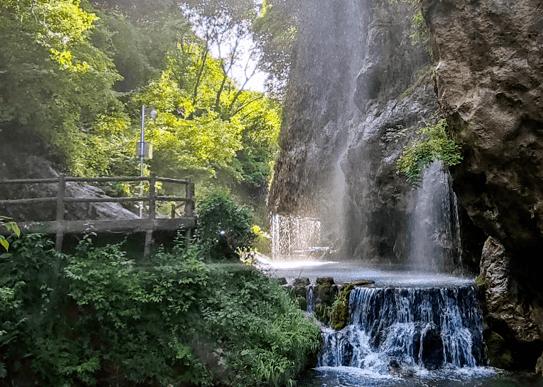 沪江开心词场