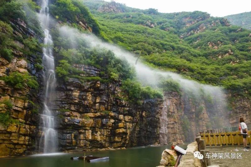 慈禧听说光绪生父墓地有一颗大树，派人去砍，光绪：想砍树先砍我