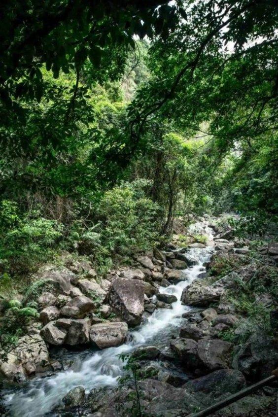 视频 | 时隔五年再次来渝 李春华为重庆葫芦丝发展点赞