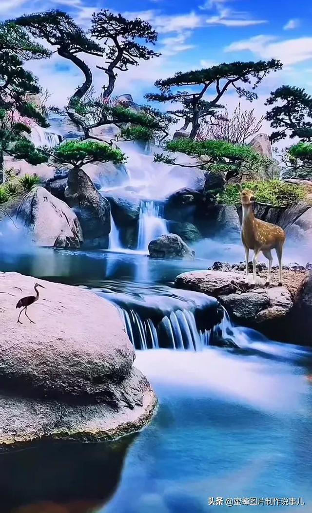 88影视